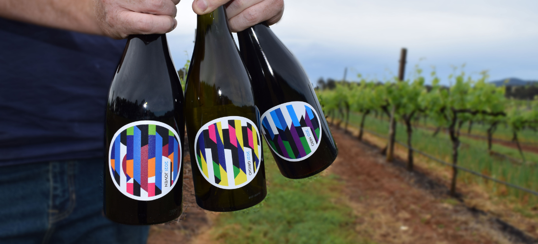 Man at the vineyard holding three bottles of Mercer Wines